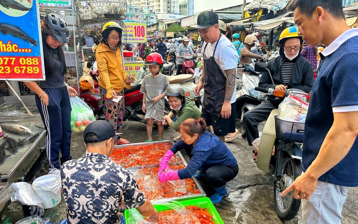 Mua cá chép cúng ông Táo 23 tháng chạp: Bất ngờ chợ Phạm Văn Hai ở TP.HCM