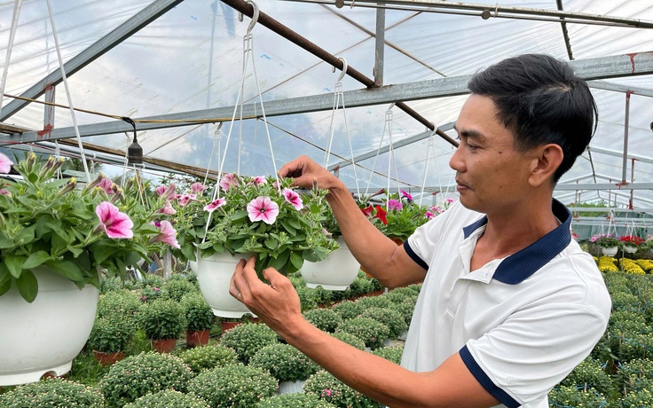 Bỏ phố về quê, chàng kỹ sư ‘đánh thức’ đất đồi bằng những mùa hoa tiền triệu