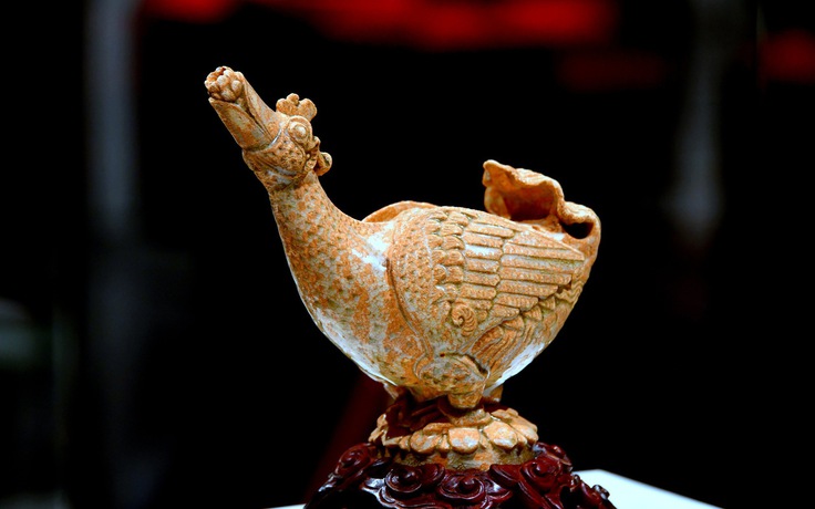 Hành trình mùa xuân theo cánh ngỗng Hamsa