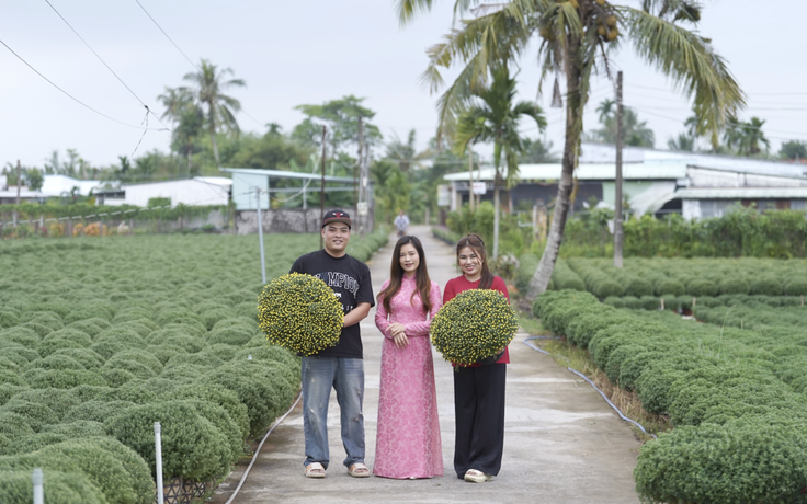 Đơn hàng cây cảnh hoa tết tăng gấp 5 lần trên sàn thương mại điện tử