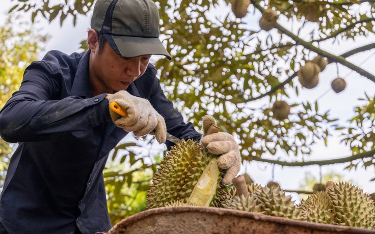 Nông sản Việt tiến thẳng vào kỷ nguyên xanh