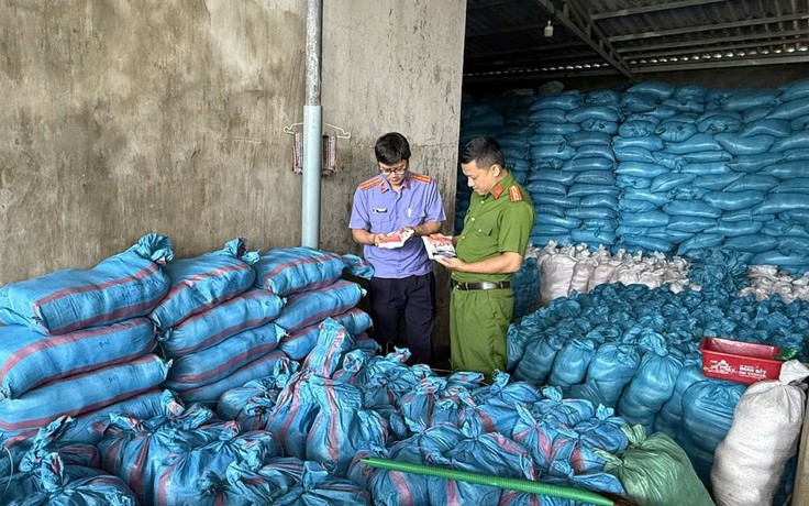 Khởi tố nữ giám đốc sản xuất 1.700 tấn muối i ốt giả