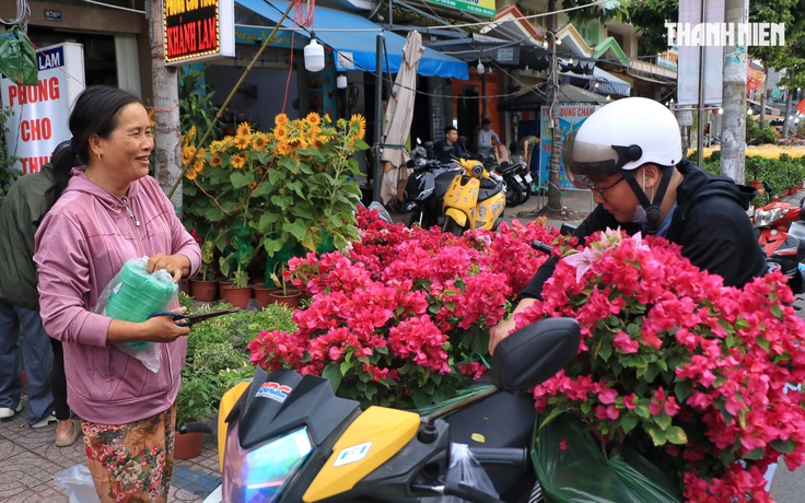 Bất ngờ hoa tết ở TP.HCM: Nhà vườn gặp khách sộp, liền lì xì ngược lại khách