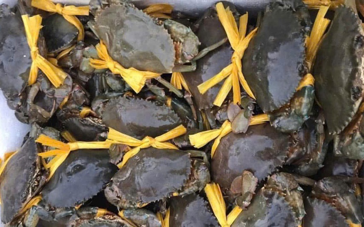 27 tết, cua Cà Mau sắp chạm mức 1,2 triệu đồng/kg