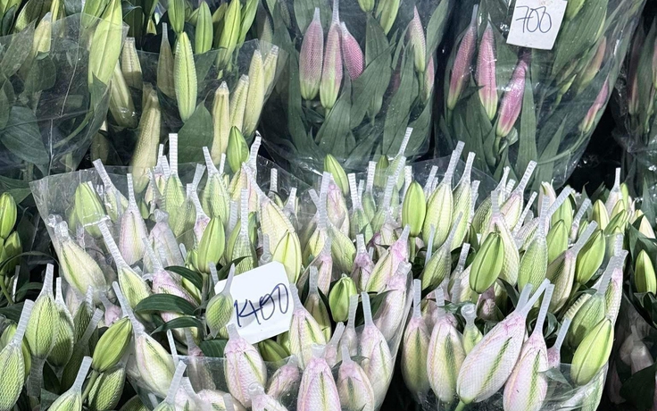 Hoa ly ‘nhảy giá’, cao gấp 3 ngày thường vẫn 'cháy hàng'