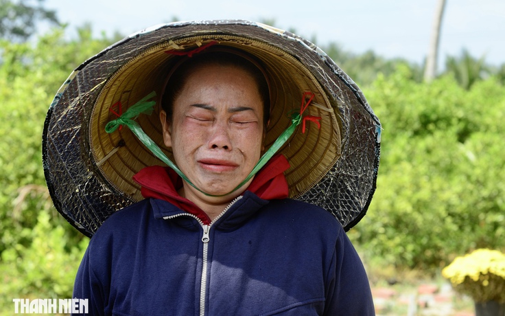 3 đời trồng hoa tết ở Chợ Lách: Sau mùa lỗ 200 triệu vẫn quyết gượng dậy