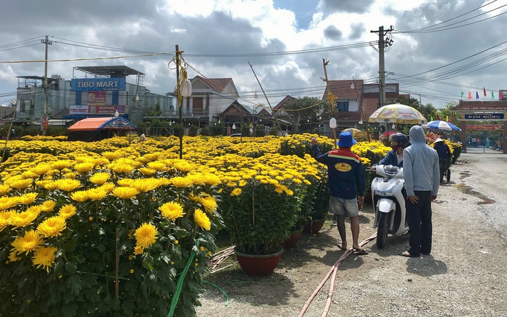 Chợ hoa ngày 28 tết: nơi tấp nập người mua, chỗ đìu hiu ngóng khách