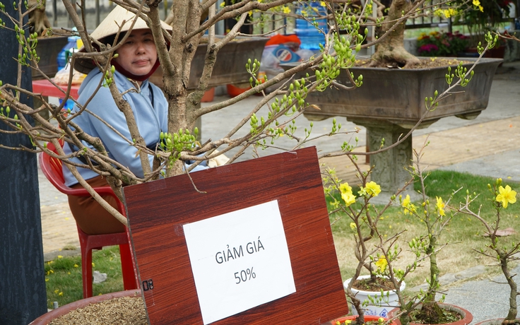 Người bán hoa ở Cần Thơ 28 tết: 'Treo biển giảm giá đau lòng lắm'