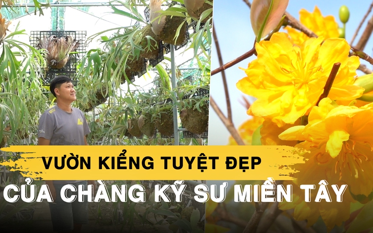 Kỹ sư xây dựng miền Tây rẽ hướng trồng cây kiểng, ‘ăn nên làm ra’ mỗi mùa tết