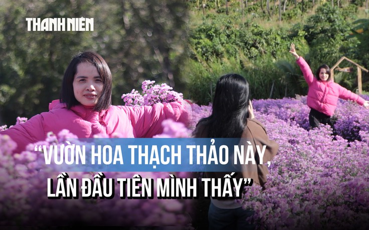 Vườn thạch thảo, cẩm tú cầu nở rộ giữa cao nguyên Đắk Lắk, giới trẻ đổ xô check-in