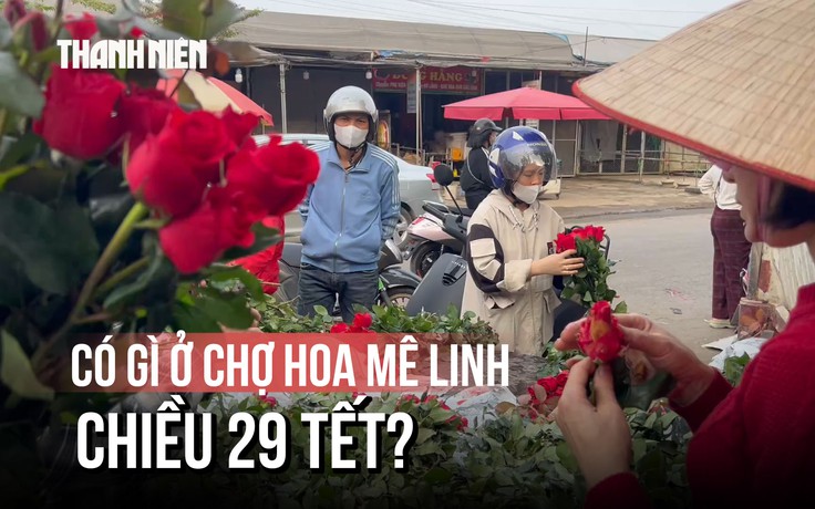 Chợ hoa Mê Linh chiều 29 tết: 100 nghìn mua được 4 chậu hoa