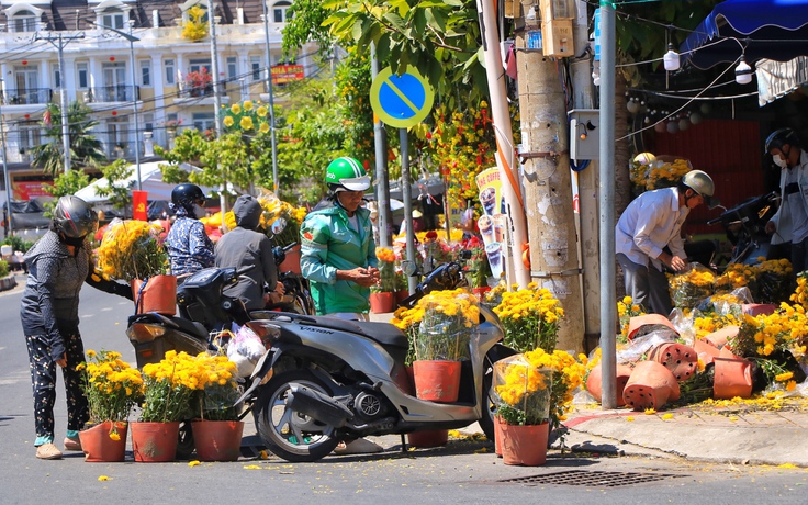 Chợ hoa tết TP.HCM trưa 29 tết: Bất ngờ xuất hiện hoa miễn phí từ nhà vườn