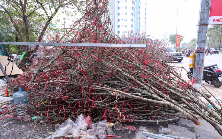 Chiều 29 tết, cành đào tiền triệu thành củi khô, chất đống trên vỉa hè Hà Nội