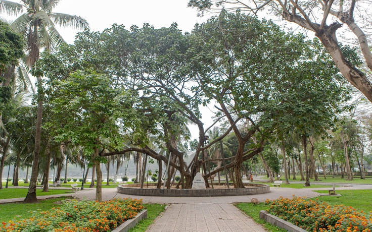 Đề xuất đầu tư hơn 87.600 tỉ làm 25 công viên chuyên đề ở Hà Nội