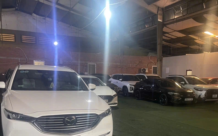 Gửi đồ đạc, tài sản, thú cưng ở đâu trước khi về quê đón tết ?