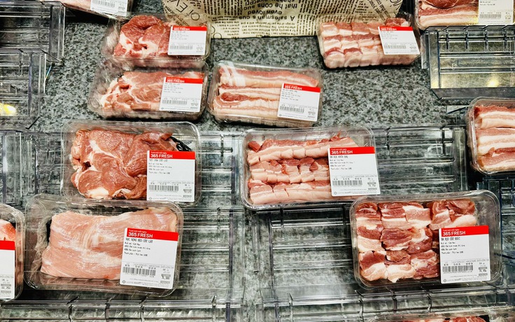 Giá heo hơi hôm nay 3.2.2026: Giảm nhanh
