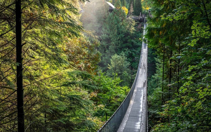 Cây cầu ở Việt Nam vào top 5 đẹp nhất thế giới