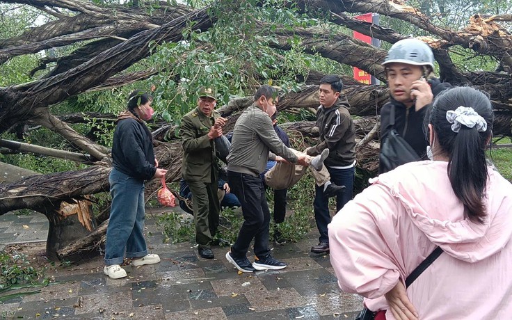 Hà Nội: Cây cổ thụ gãy đổ, đè 2 người bị thương