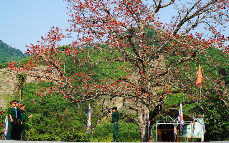 Hoa gạo đỏ rực giữa đại ngàn Trường Sơn ở ngã ba Bến Giằng