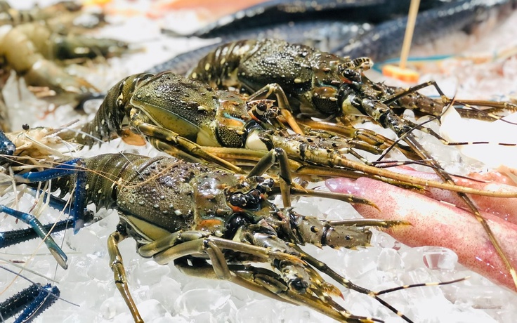 Xuất khẩu tôm Việt đón tin vui kép