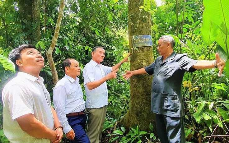 'Rừng thiêng' giữa đại ngàn