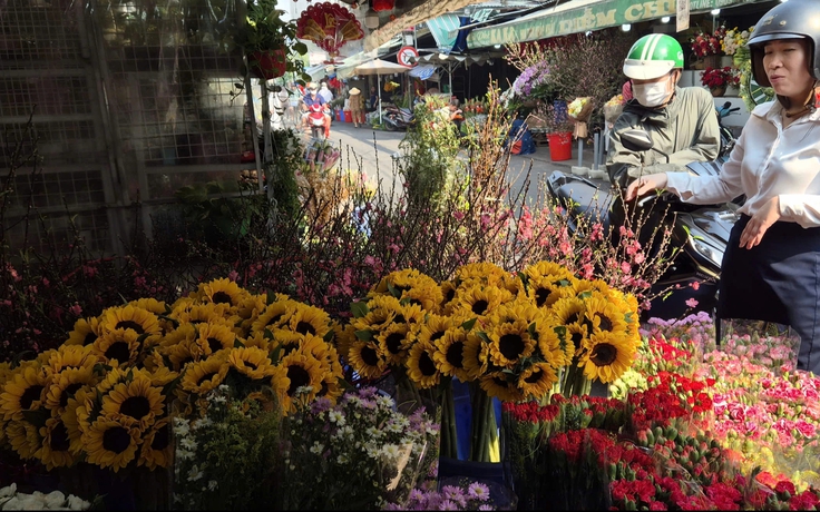 Nhộn nhịp hoa tết, phố xá thêm sắc màu