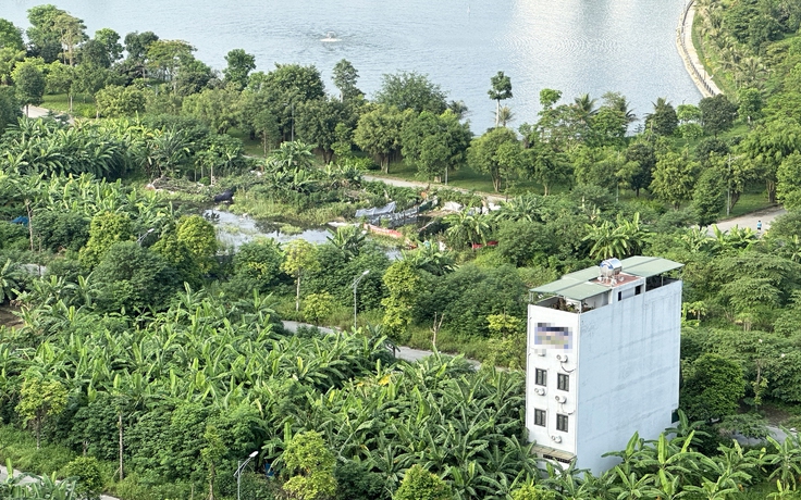 Anh em cùng cha khác mẹ kiện nhau chia thừa kế gần 5.000 m2 đất