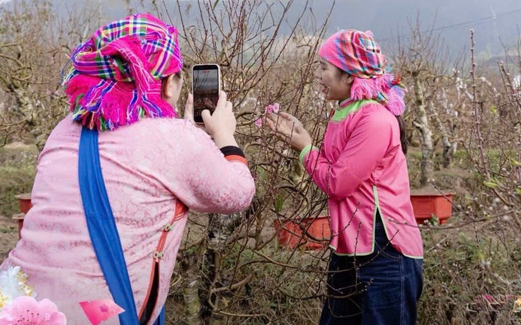 Đào Lai Châu lên sóng livestream, giá tiền triệu 'nổ' đơn ầm ầm