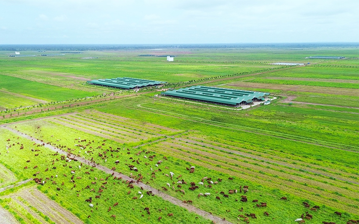 Thị trường Lào, Campuchia ngày càng quan trọng