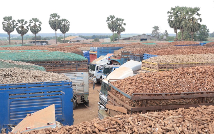 Hàng hóa tại các cửa khẩu ở Tây Ninh đã thông suốt