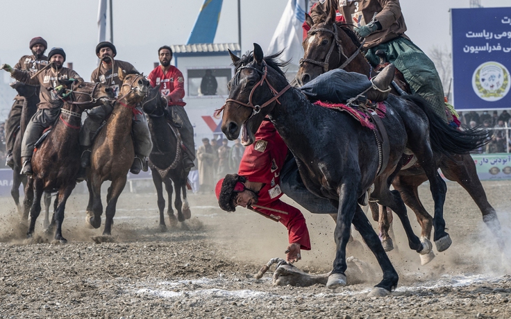 Những cuộc thi kỳ thú với loài ngựa