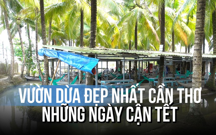 Vườn dừa đẹp nhất Cần Thơ tấp nập đón khách ngày giáp Tết Bính Ngọ