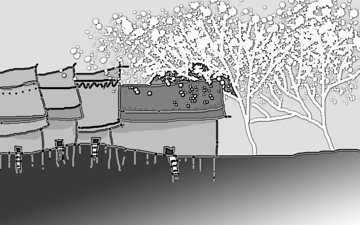 Mơ hoa - Thơ của Nam Thanh