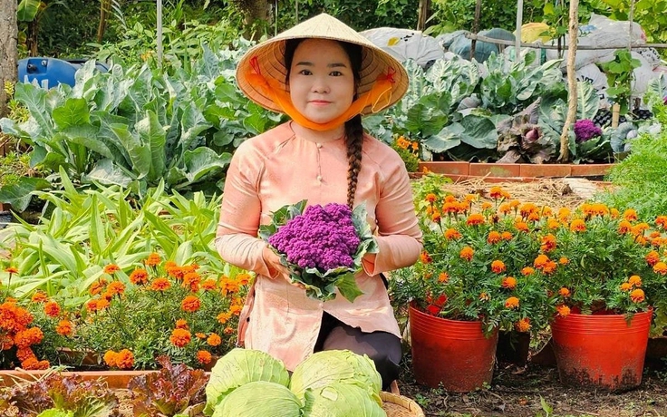 Vườn rau xanh mướt, rực rỡ sắc hoa trong lòng thành phố