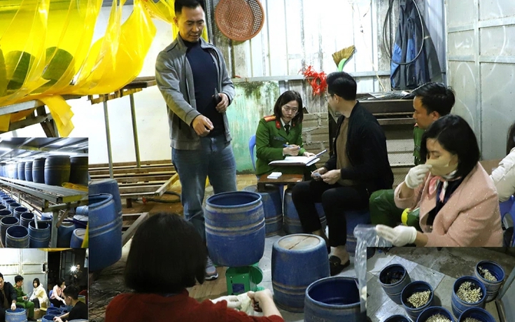 Khởi tố chủ cơ sở dùng chất kích thích sản xuất gần 2,8 tấn giá đỗ