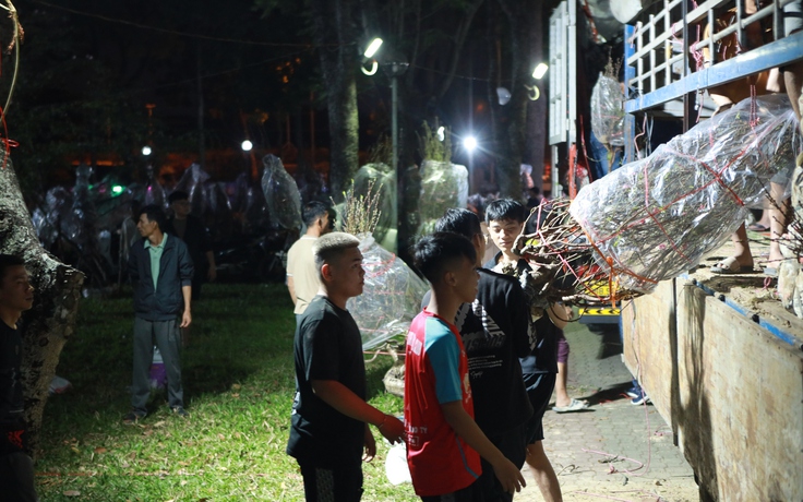 0 giờ ở chợ hoa tết công viên Gia Định vẫn có người ghé mua