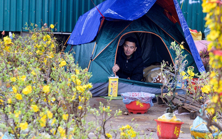 Đào, quất ế ẩm, tiểu thương đỏ mắt mong 'trời đừng mưa nữa'