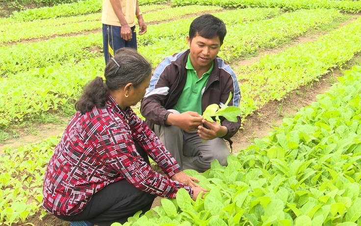 Trăn trở của cử tri và điểm sáng từ sự tiên phong của thanh niên