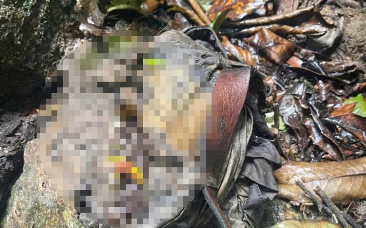 Phát hiện bộ xương người tại bìa rừng, nghi đã tử vong nhiều tháng