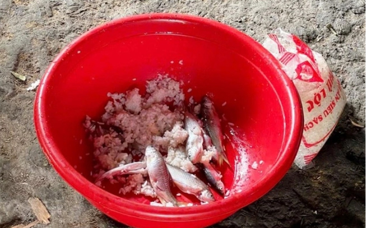 Bác sĩ 24/7: Botulinum thường xuất hiện trong những thực phẩm nào, cách phòng tránh ra sao?