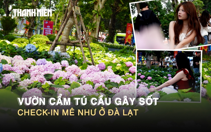 Vườn cẩm tú cầu gây sốt ở trung tâm TP.HCM, check-in mê như ở Đà Lạt