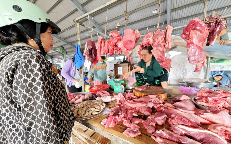 Giá heo hơi hôm nay 16.3.2026: Đà giảm tạm ngừng