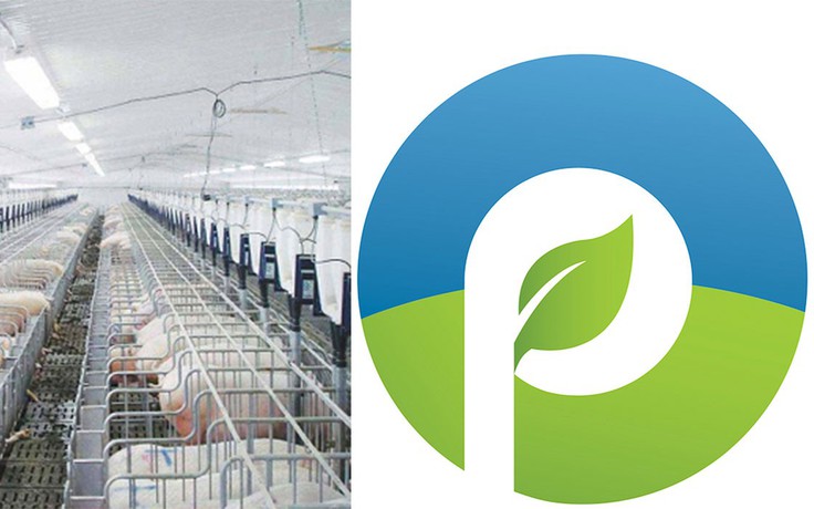 Công ty CP Procimex Việt Nam: Cải tiến công nghệ, nâng cao chất lượng dịch vụ