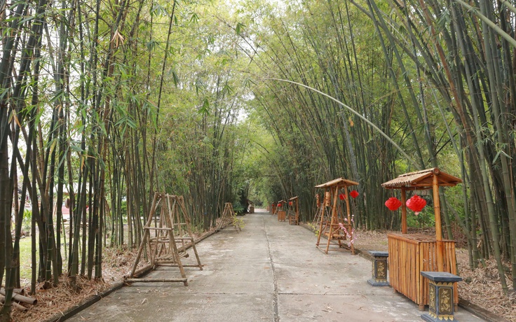 Phú An - 'ngân hàng tre' lớn nhất Việt Nam, xanh mát giữa vùng công nghiệp