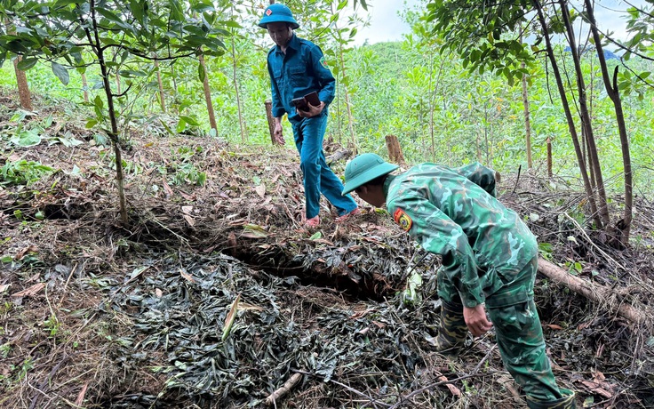 Sạt lở đe dọa trường học vùng cao, Đà Nẵng công bố tình huống khẩn cấp