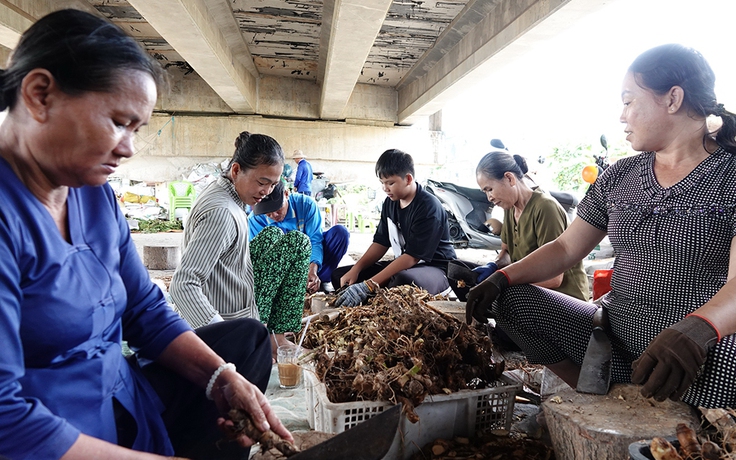 Chuyện tử tế: Miệt mài tìm thuốc nam giúp bệnh nhân nghèo
