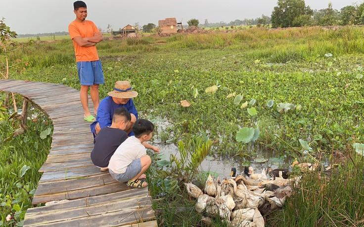 Cô gái miền Tây làm nông trại nghỉ dưỡng thu hút từ 200 - 300 lượt khách/tháng