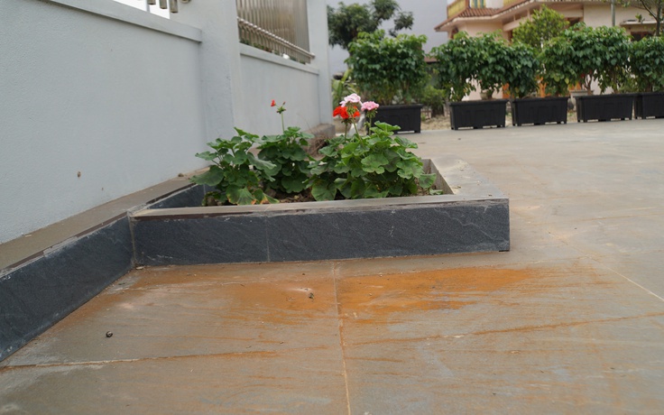 Để 'bụi vàng' bủa vây khu dân cư, bị phạt 200 triệu đồng