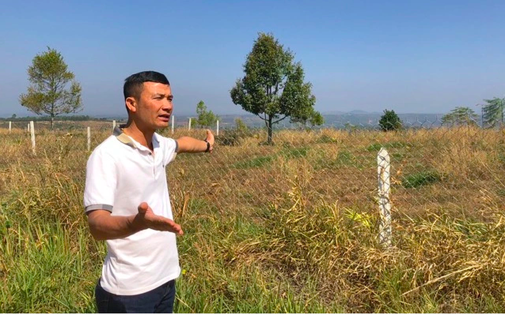 Vụ tự chặt cây cà phê: Viện kiểm sát rút kinh nghiệm vì thiếu chứng cứ kết tội