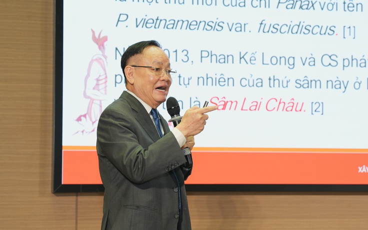 53 năm sâm Ngọc Linh: Cuộc đua khoa học - thị trường để giữ ‘quốc bảo’ Việt